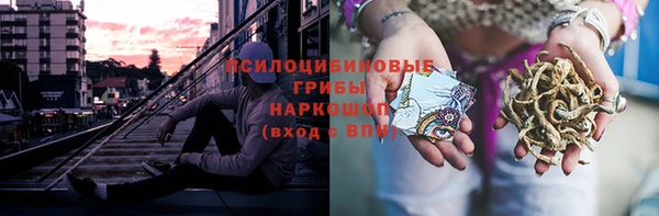 прущие крисы Армянск